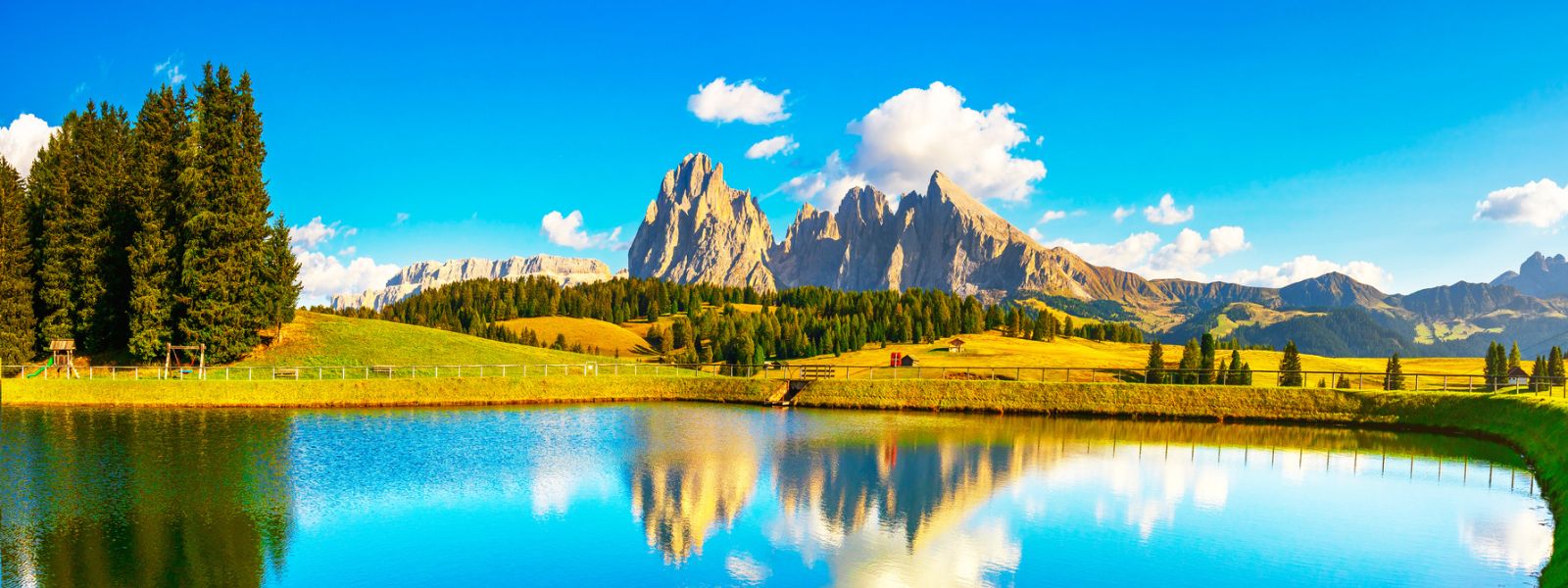 Slider sito web (1600 × 600 px) (7) Slider sito web (1600 × 600 px) (7)